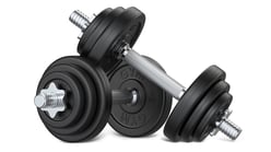 Pair_of_dumbbells copy