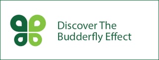 Budderfly Effect